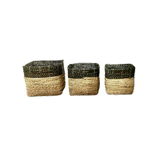 Kothak Set of 3 Baskets